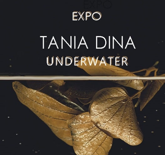 Tania Dina