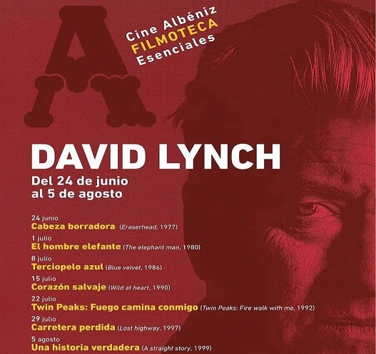 Ciclo Lynch 2021 logo