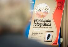 Las Jornadas de Estudios Flamencos se celebrarán los meses de julio y septiembre bajo el título ‘Málaga, universo flamenco’