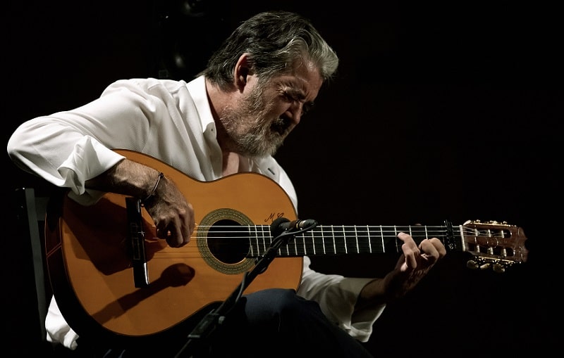 Programación de Flamenco lo serás tú&nbsp;2024