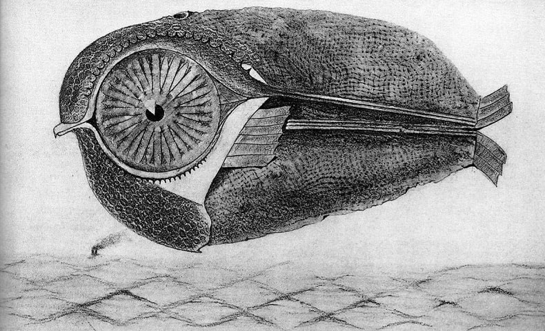 Max Ernst: Historia&nbsp;natural